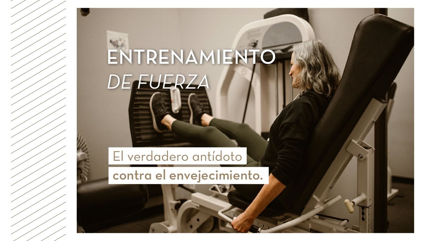 Entrenar la fuerza en la edad adulta