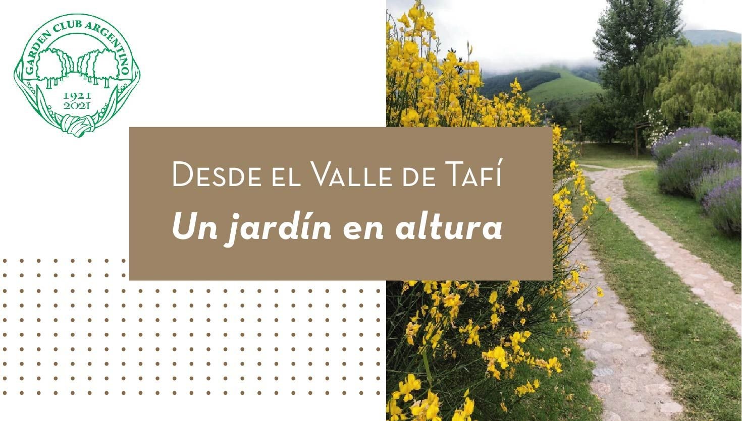Desde el Valle de Tafí, un jardín en altura